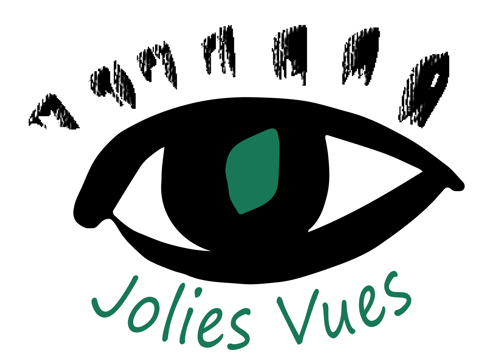 Logo_JoliesVues